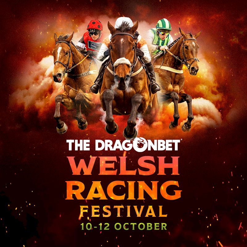 Welsh Racing Festival with Race and Stay